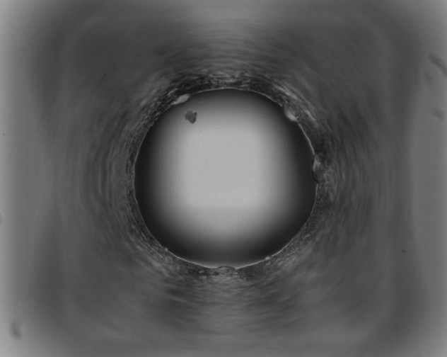 X0000097780961200803071345