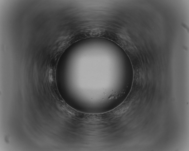 X0000097780962200803071345