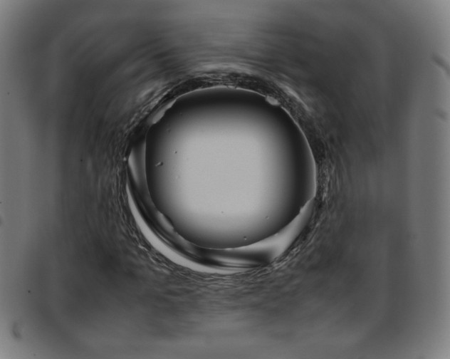 X0000097780965200803071345