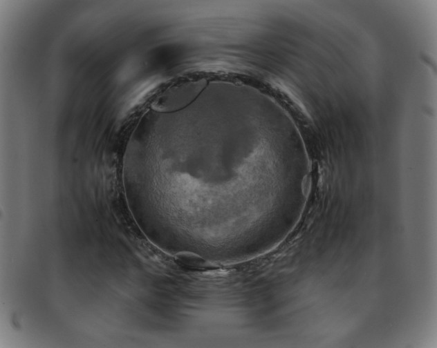 X0000097780968200803071345