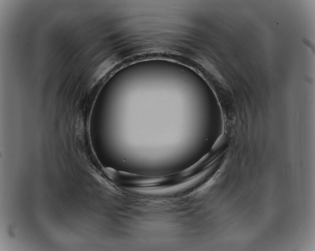 X0000097780969200803071345