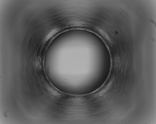 X0000097780970200803071345
