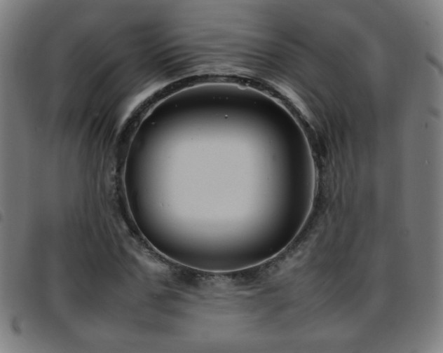 X0000097780971200803071345