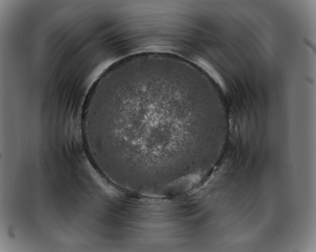 X0000097780972200803071345