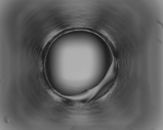 X0000097780973200803071345