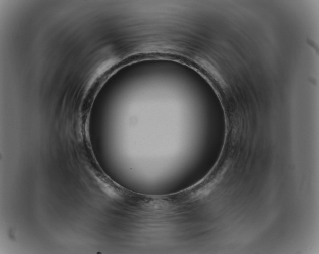 X0000097780974200803071345