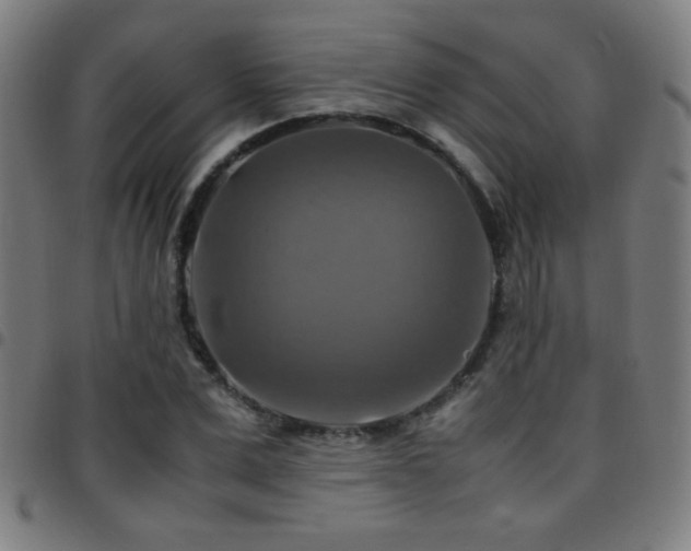X0000097780975200803071345