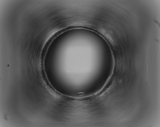X0000097780976200803071345