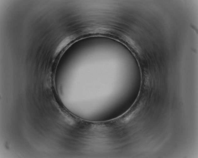 X0000097780978200803071345