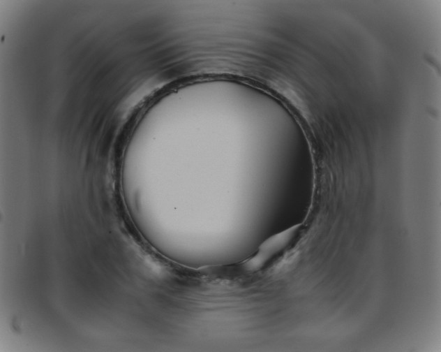 X0000097780979200803071345
