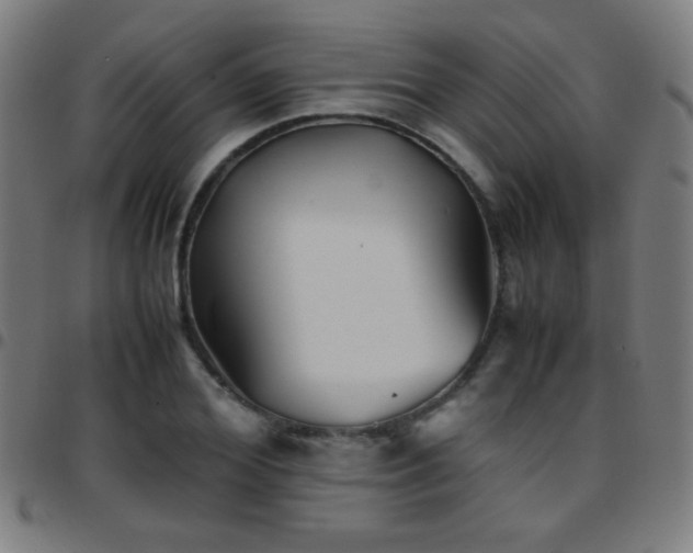 X0000097780980200803071345