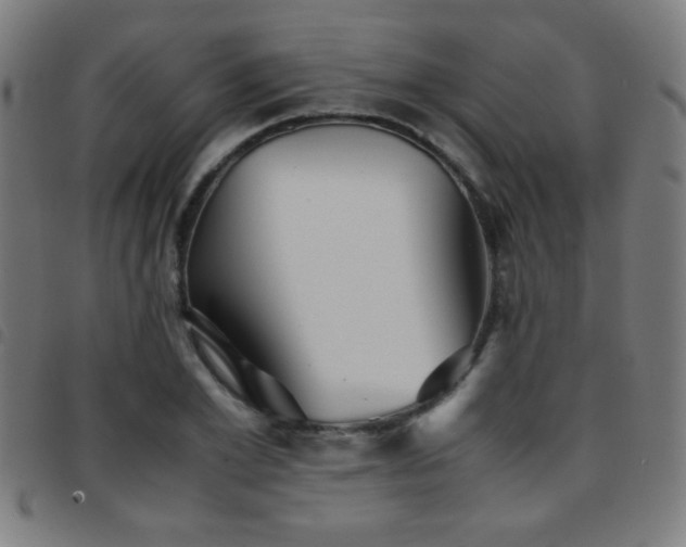 X0000097780981200803071345