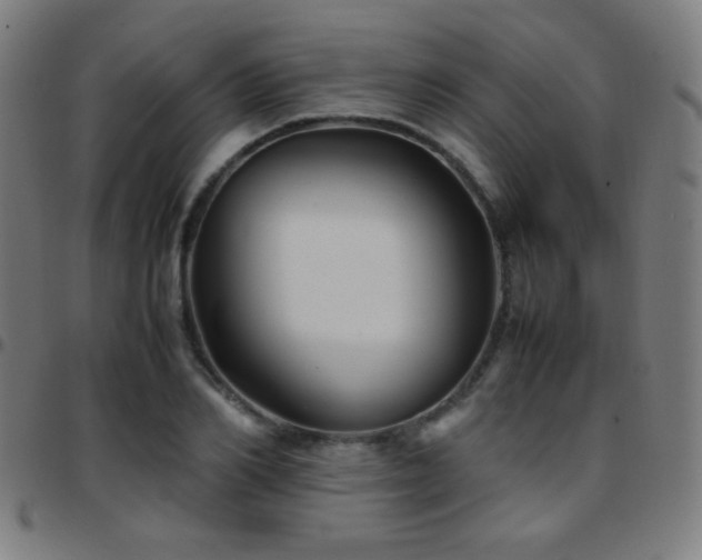 X0000097780982200803071345