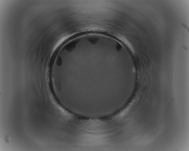 X0000097780983200803071345