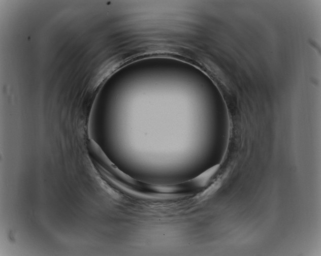 X0000097780985200803071345