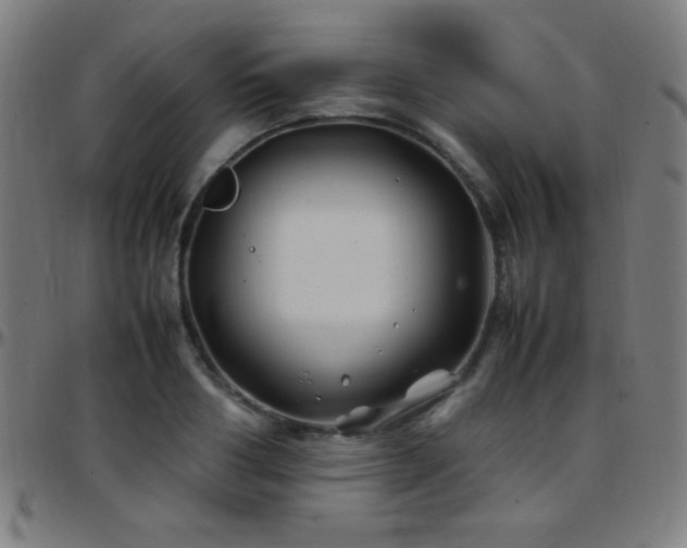 X0000097780986200803071345