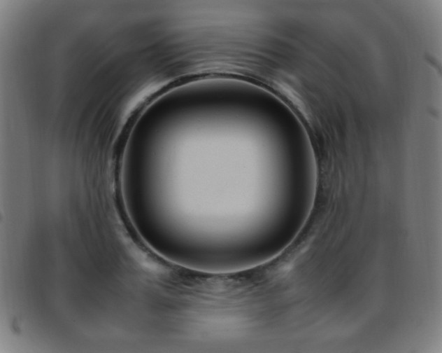 X0000097780987200803071345