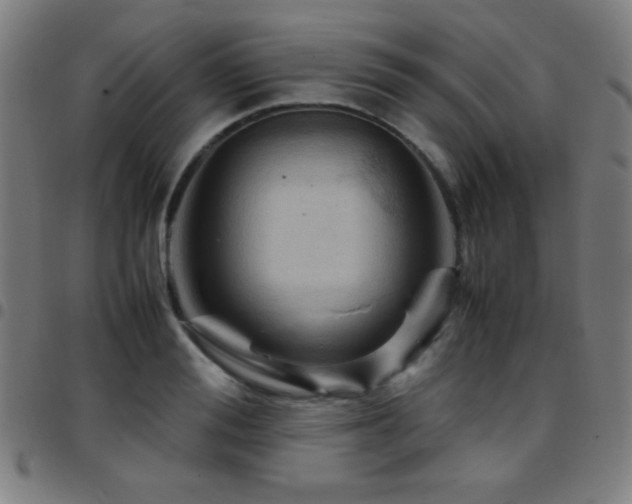 X0000097780988200803071345