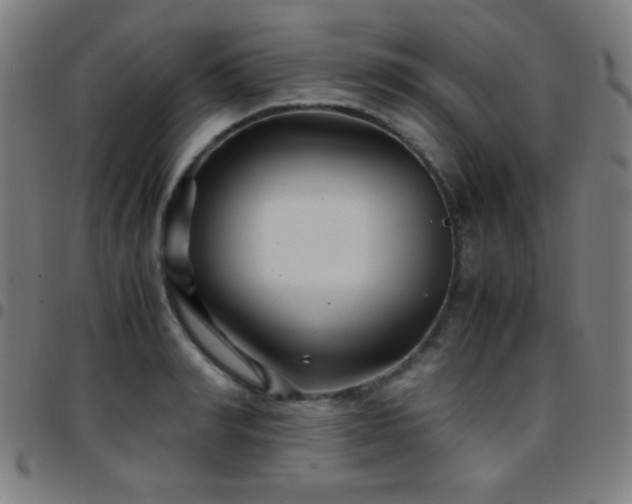 X0000097780990200803071345