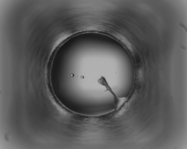 X0000097780991200803071345