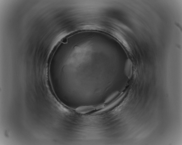 X0000097780992200803071345