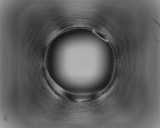 X0000097780993200803071345
