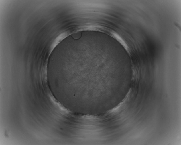 X0000097780994200803071345