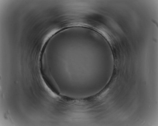 X0000097780995200803071345