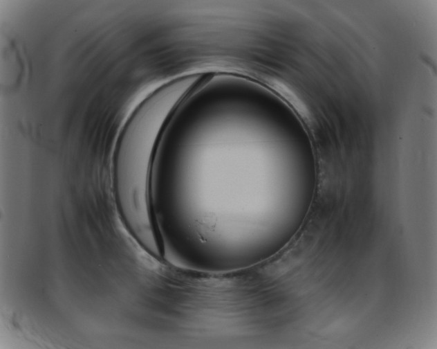 X0000097780996200803071345