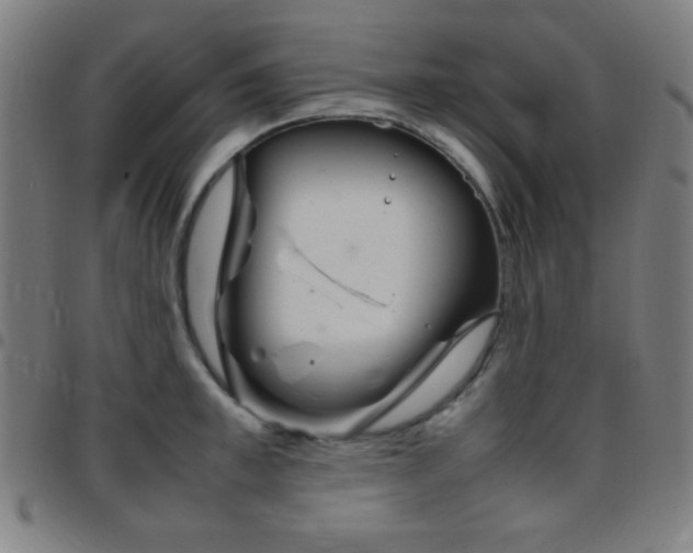X0000097780997200803071345