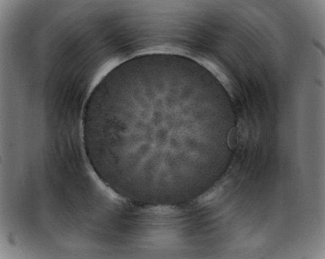 X0000097780998200803071345