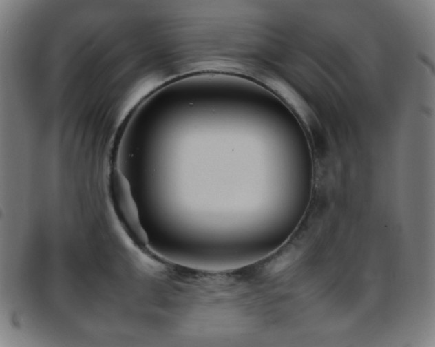 X0000097780999200803071345