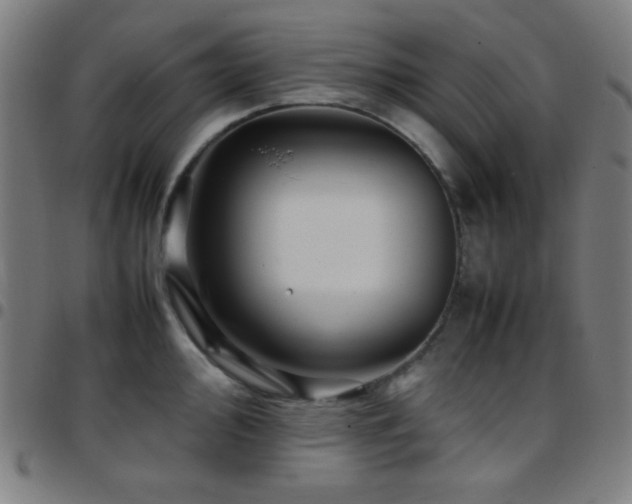 X0000097781000200803071345