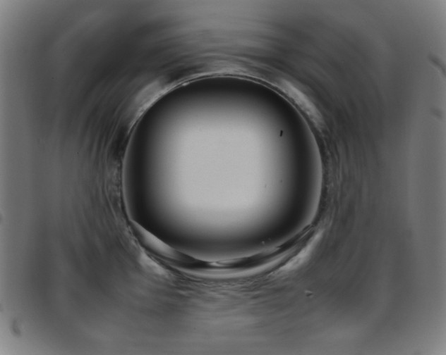 X0000097781001200803071345