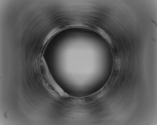X0000097781002200803071345