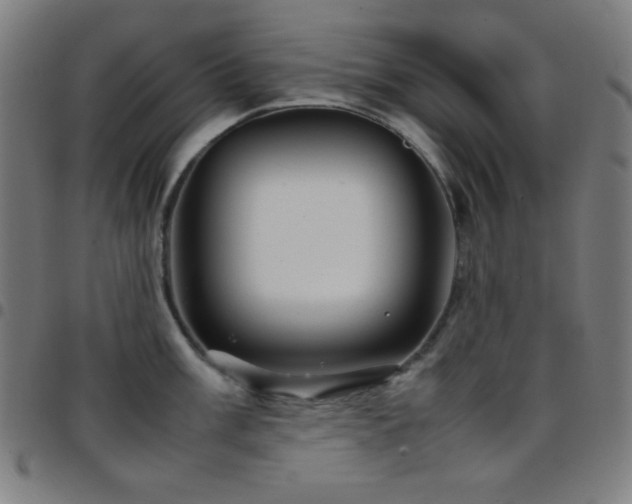 X0000097781003200803071345