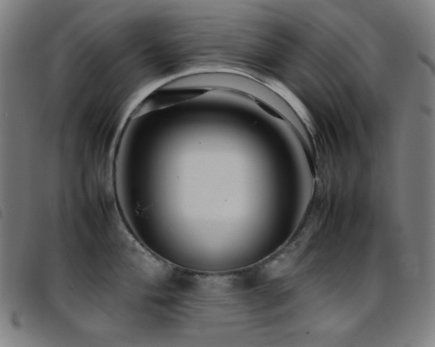 X0000097781004200803071345
