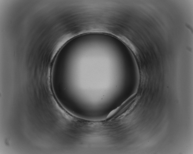 X0000097781006200803071345