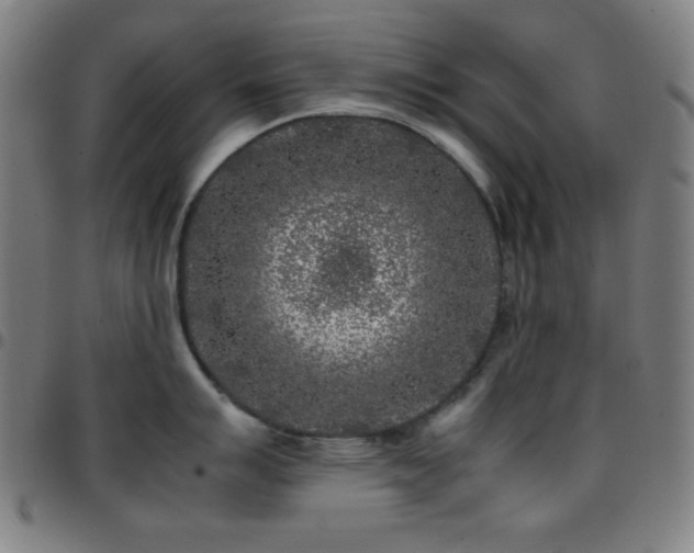 X0000097781007200803071345