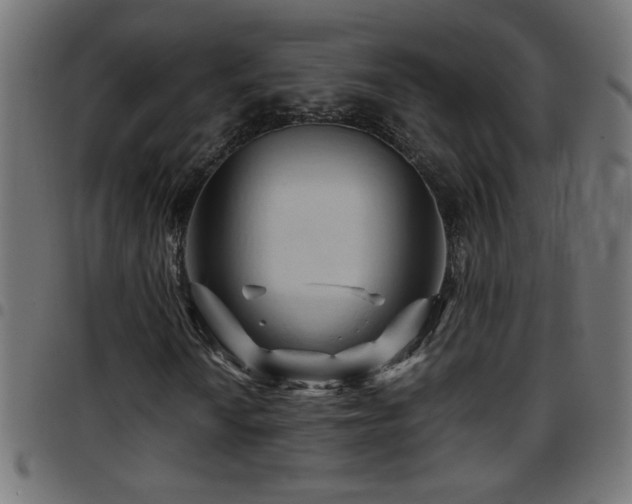 X0000097781010200803071344