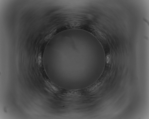 X0000097781011200803071344