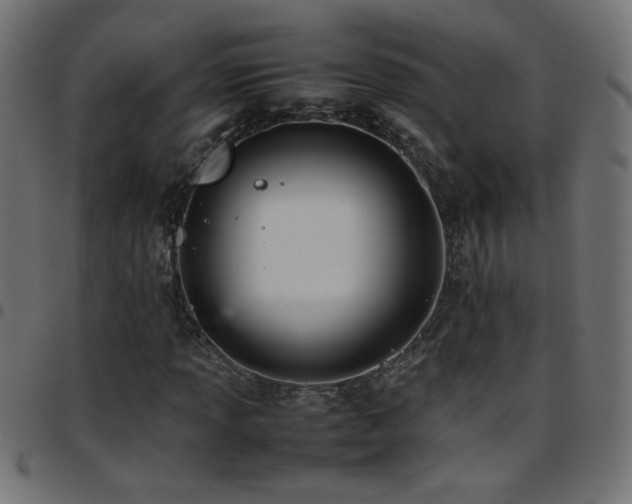 X0000097781013200803071344