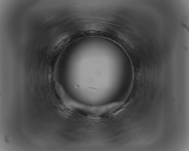 X0000097781014200803071344