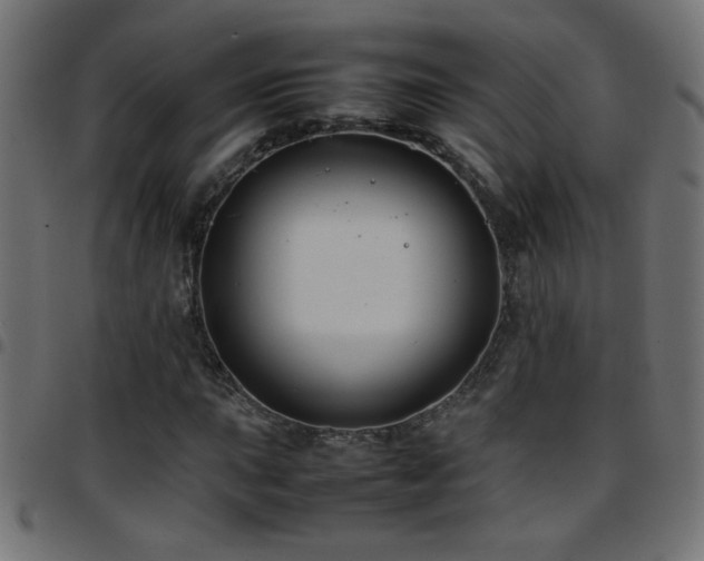 X0000097781015200803071344
