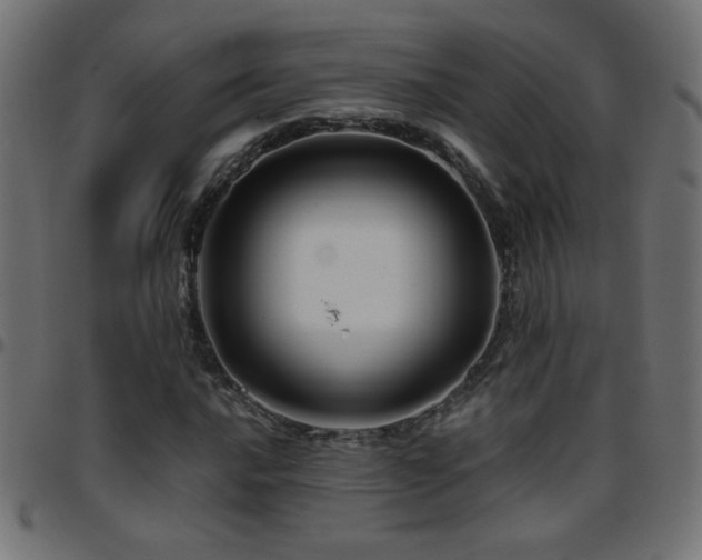 X0000097781016200803071344