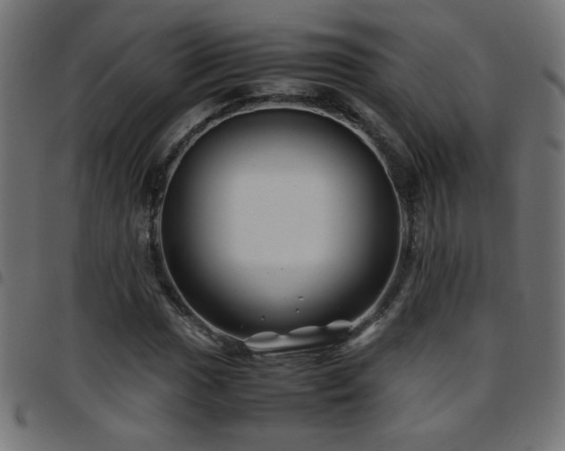 X0000097781017200803071344