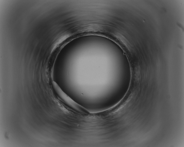 X0000097781018200803071344