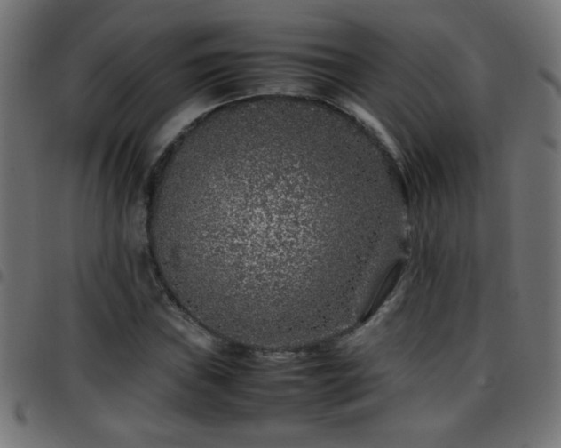 X0000097781019200803071344