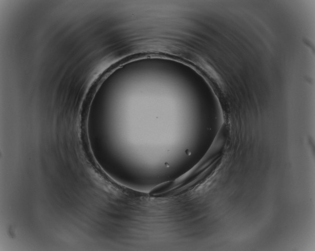 X0000097781020200803071344