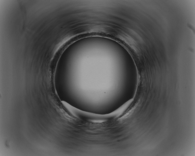 X0000097781021200803071344